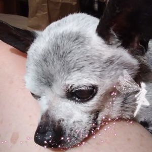 Meet your Posher, Ann-michelle